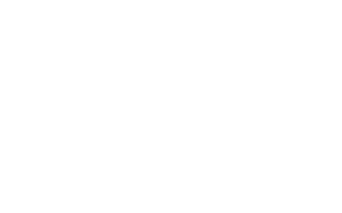 BASIS Curriculum Schools logo (white)